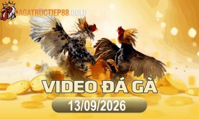 img video da ga cpc4 1789344011