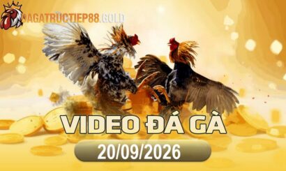 img video da ga cpc4 1789948807